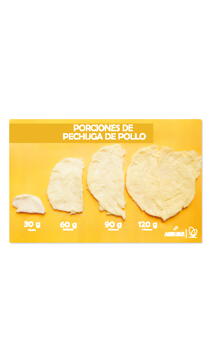 Kit de Réplicas de Pollo